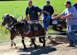 traction seeking