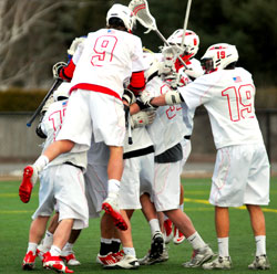 celebration