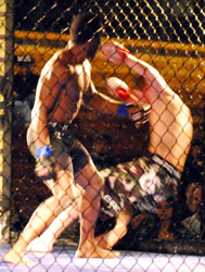 left jab left jab