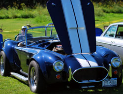 old shelby