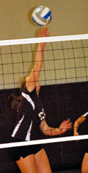 tip at the net