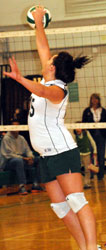 tip at the net