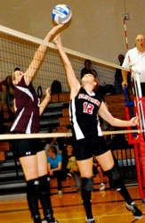 meet at the net