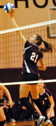 tip at the net