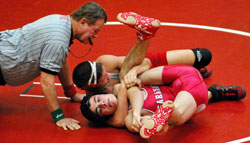 cross-face cradle
