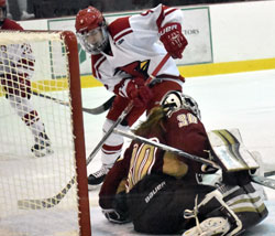 in the open net