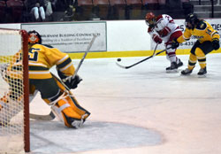 wrister on net wrister on net