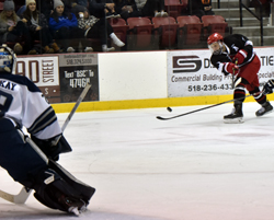 shot on net shot on net