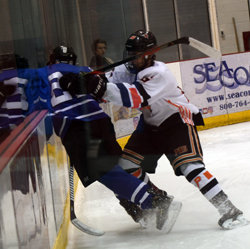along the boards along the boards