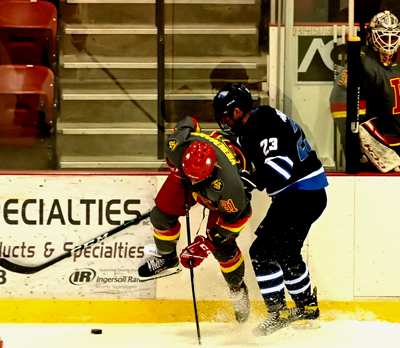 hip check hip check