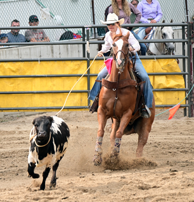 breakaway hook