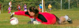 carrell save carrell save