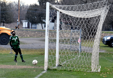 open net goal