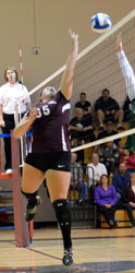 tip at the net tip at the net