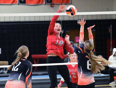 block at the net