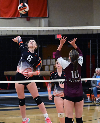 hard spike hard spike